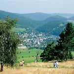 Lägenhet Komfort-fewo Traumblick Am Sonnenlift Mit Grosser Infrarotsauna Willingen (Upland)